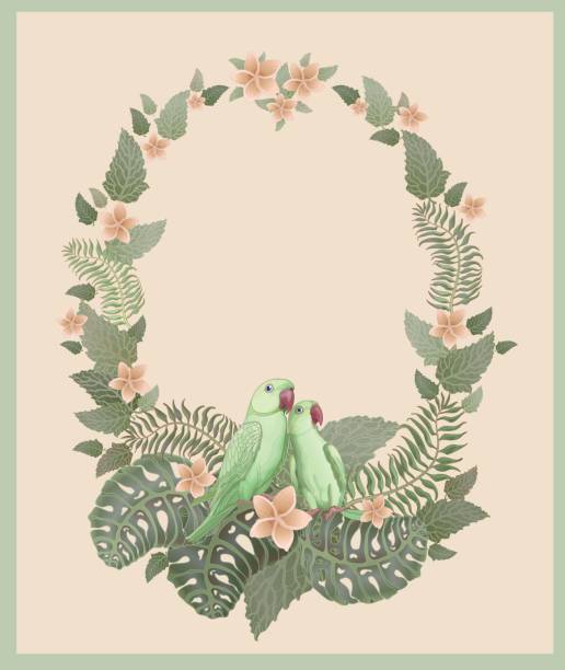 illustrazioni stock, clip art, cartoni animati e icone di tendenza di illustrazione vettoriale di un paio di pappagalli indiani verdi, con fogliame tropicale e fiori su sfondo beige chiaro. foglie di monstera, pianta di frangipany. invito al matrimonio, biglietto d'auguri per la festa della mamma in stile vintage - bird spring family cartoon