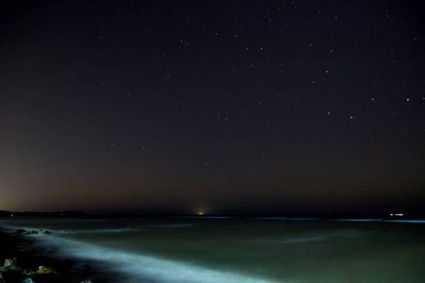 istock Stars with sandy beach at night 645341334