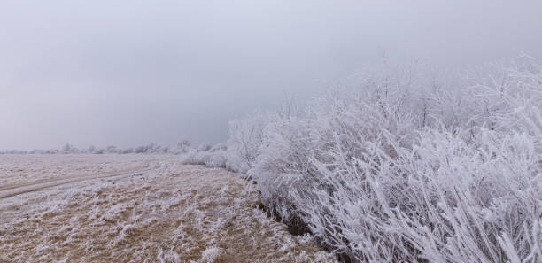 istock Beautiful winter scenery with trees covered by frost 645344644