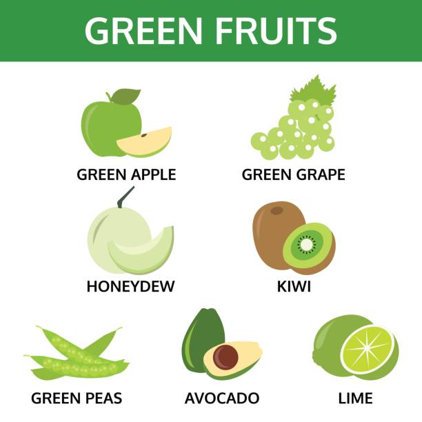 green fruits collection, info graphic food vector illustration green fruits collection, info graphic food vector illustration honeydew melon stock illustrations