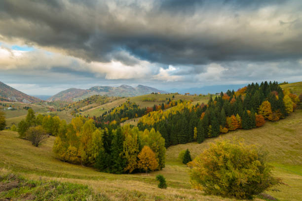 istock Autumn panorama in the mountains, in a remote rural area 645347676