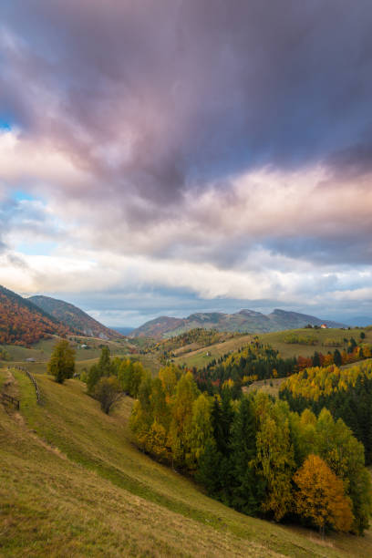 istock Autumn panorama in the mountains, in a remote rural area 645347680