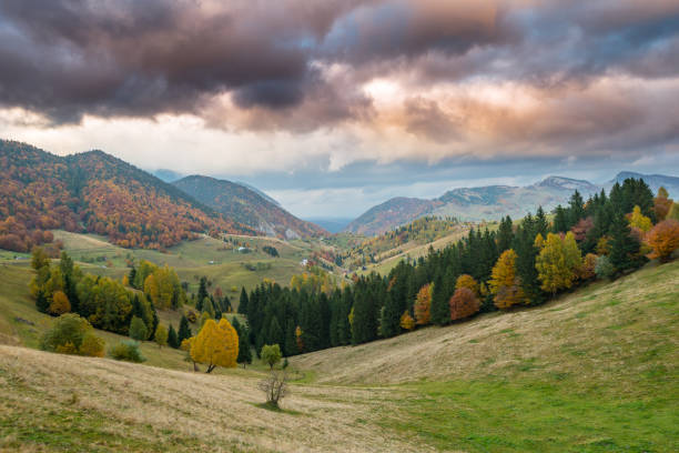 istock Autumn panorama in the mountains, in a remote rural area 645347740