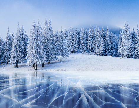 Blue ice and cracks on the surface of the ice. Frozen lake under a blue sky in the winter. The hills of pines. Winter. Carpathian Ukraine Europe