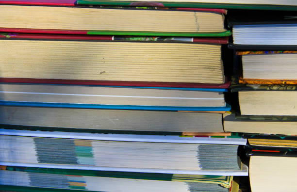 istock Many new books on a shelf 645354102