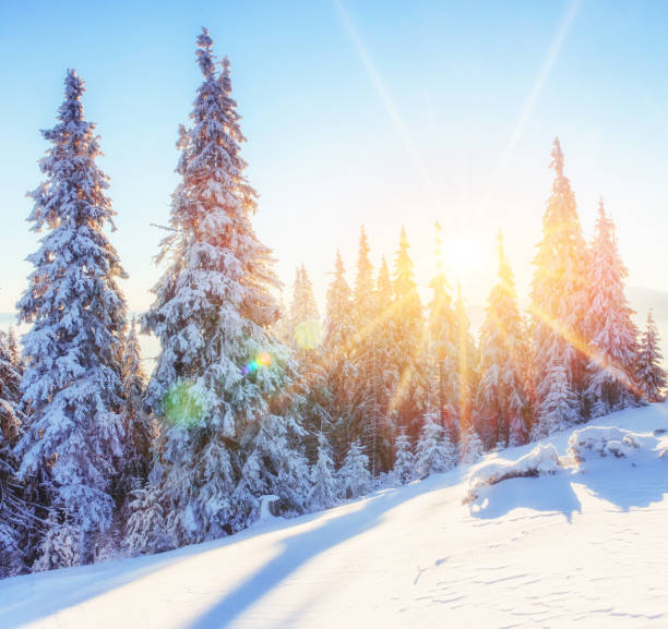 istock Mysterious winter landscape majestic mountains in  sunset. 645357596