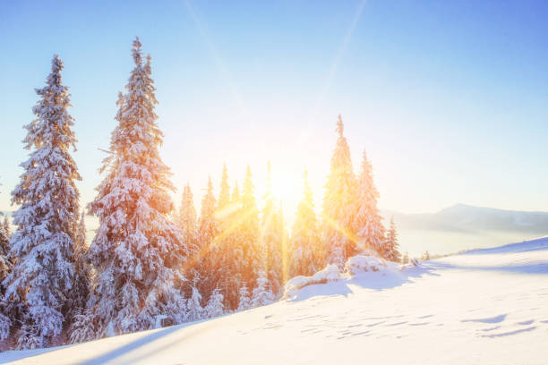 istock Mysterious winter landscape majestic mountains in  sunset. 645357616