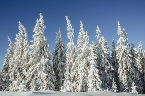 istock Mysterious winter landscape majestic mountains 645357864