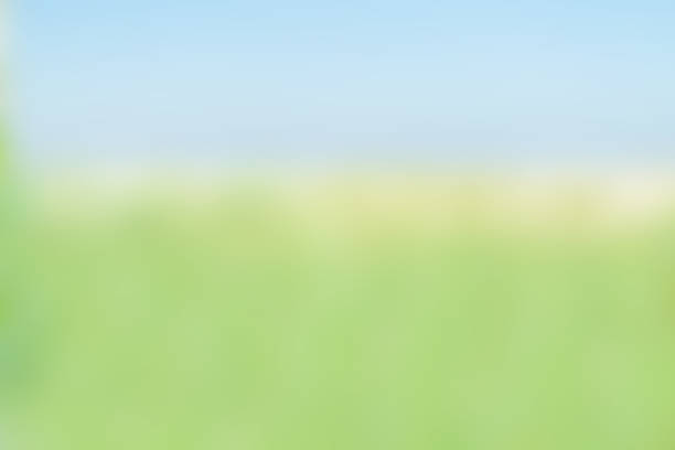 istock Smooth light blue green Orange evening blurred background. 645364168