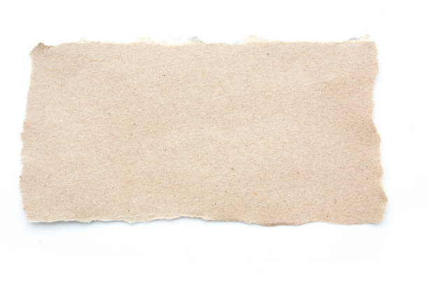 istock Empty blank recycle paper tear paper isolated 645364490