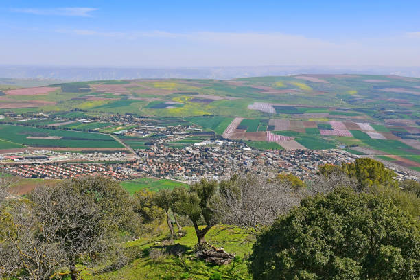 istock Jezreel Valley, Lower Galilee, Israel 645370914