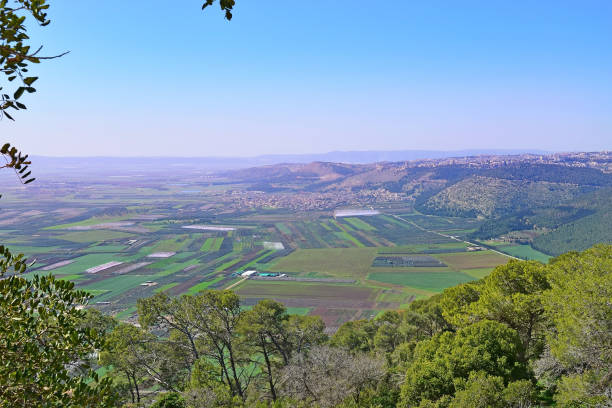 istock Jezreel Valley, Lower Galilee, Israel 645370972