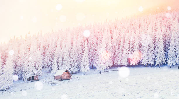 istock cabin in the mountains in winter, background with some soft high 645373492