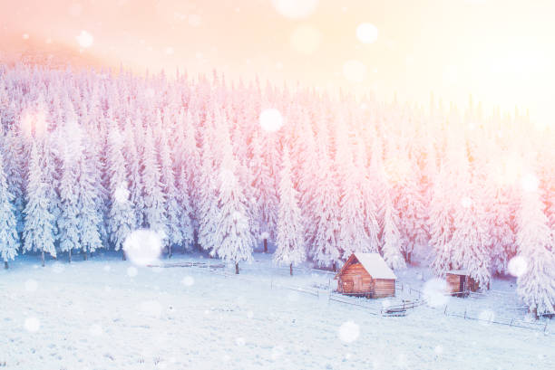 istock cabin in the mountains in winter, background with some soft high 645373548