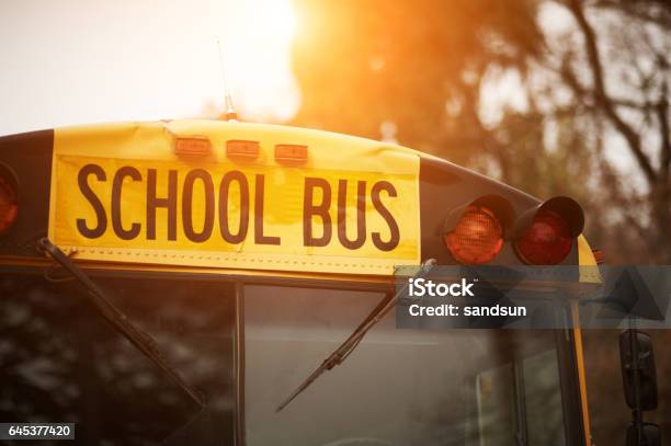 School Bus Stock Photo - Download Image Now - School Bus, Bus, Education