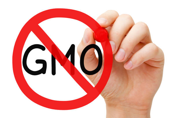 concepto de signo de prohibición de omg - alimento genéticamente modificado fotografías e imágenes de stock