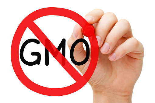 Hand drawing GMO - Genetically Modified Organism prohibition sign concept with marker on transparent wipe board.
