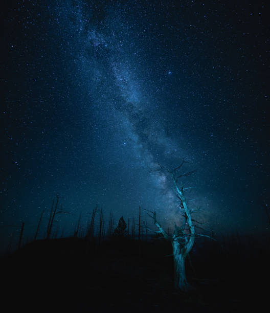 istock Milky Way in Kamchatka 645384350
