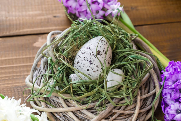istock Beautiful Easter eggs with flowers hyacinths on the wooden background 645390836