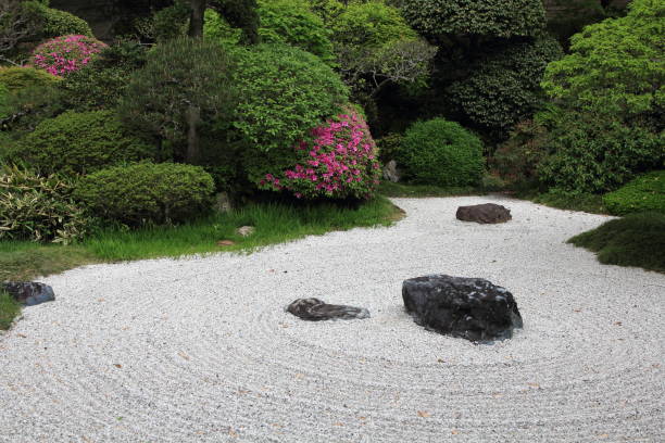 istock Japanese garden 645415920