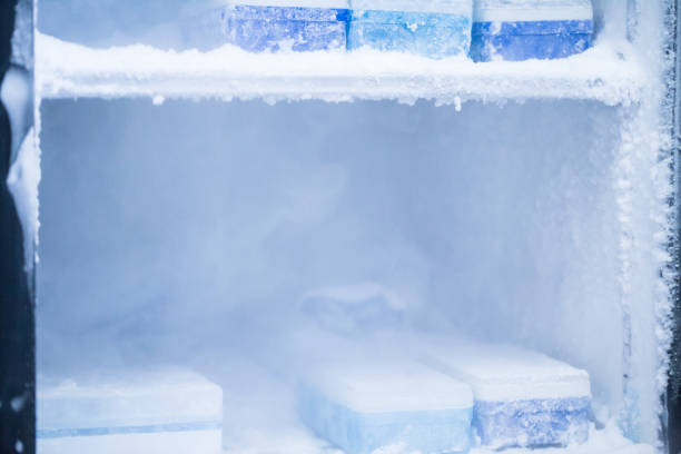 -80 degree frige in the lab -80 degree frige in the lab fridge ice stock pictures, royalty-free photos & images