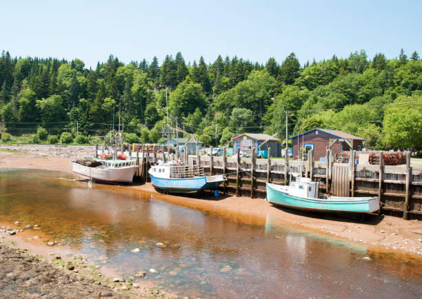 istock Canada's Village Boats 645425784