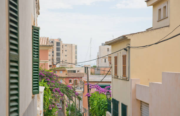 PALMA DE MALLORCA, BALEARIC ISLANDS, SPAIN - DECEMBER 5, 2016: Street view in El Terreno on a winter day on December 5, 2016 in Palma de Mallorca, Balearic islands, Spain.