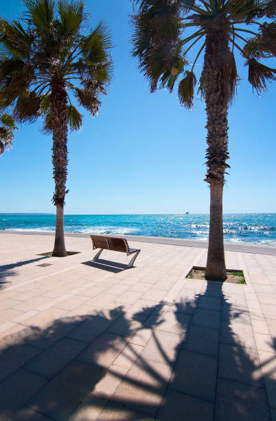 istock Peaceful bench seat with ocean view 645439758