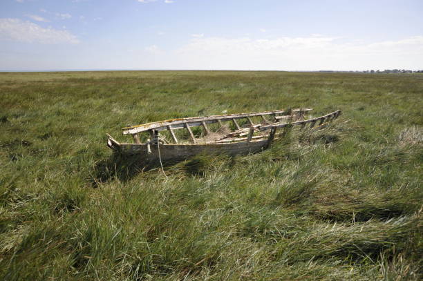 istock Old fishing boat; wreck. 645445114