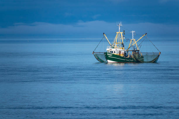 barca di gamberetti sul mare del nord - barca per pesca di gamberetti foto e immagini stock