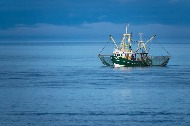 shrimp boat on the north sea - barco de pesca de camarões imagens e fotografias de stock