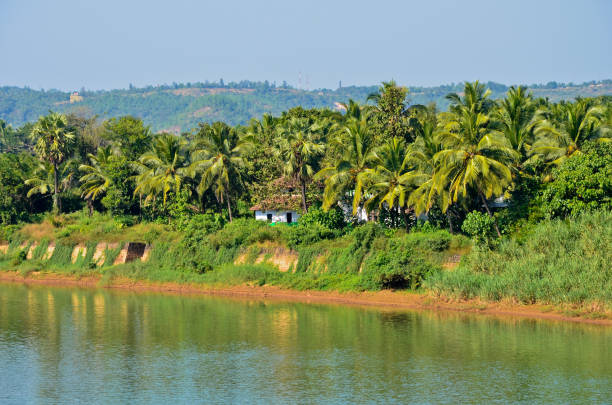 Picturesque view of Phalguni River with hills and coconut palms in the background at Polali, Addur, Mangalore, Karnataka, India