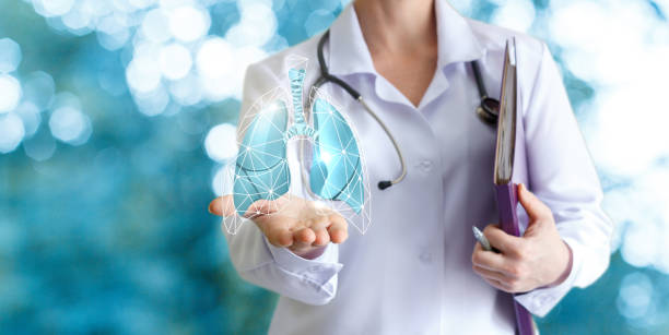 Doctor shows human lungs on blurred background. stock photo