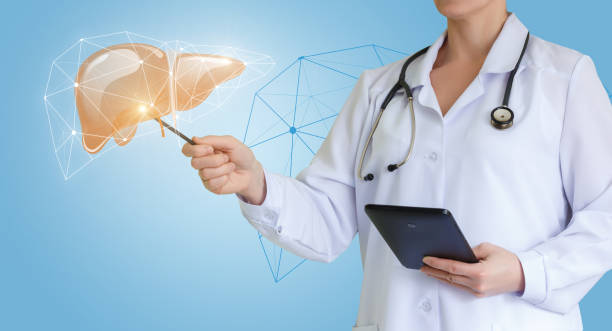 istock Doctor shows healthy human liver. 645455590