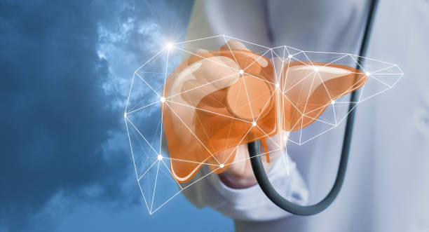 istock Diagnostics and Treatment of liver. 645455598