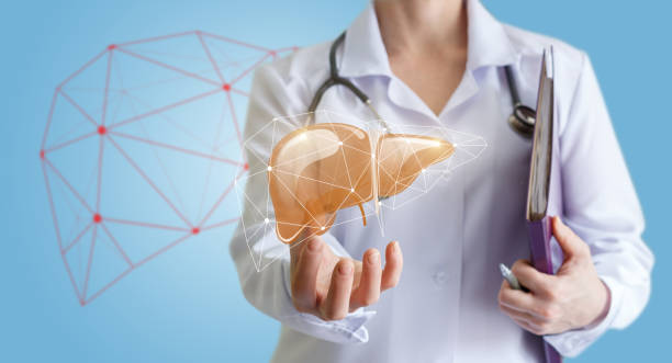 istock Doctor shows human liver. 645455608