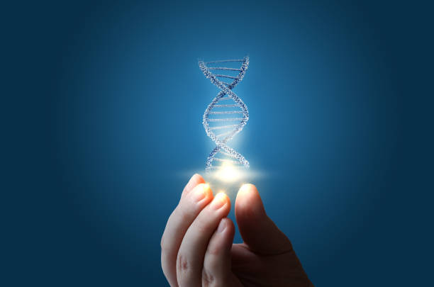 dna alla mano su sfondo blu. - genetic research foto e immagini stock