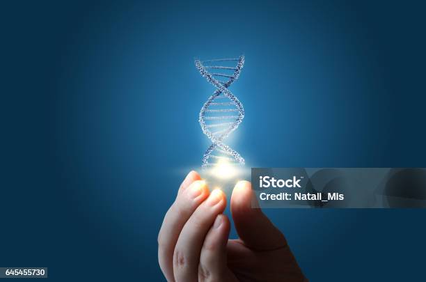 Dna In Hand On Blue Background Stock Photo - Download Image Now - DNA, Genetic Research, Technology