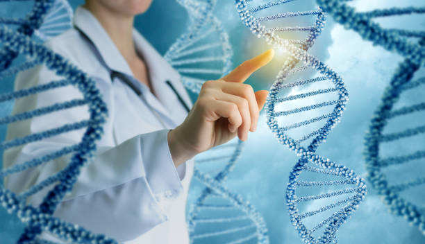 инновационные в науке и медицине . - генетическое исследование стоковые фото и изображения