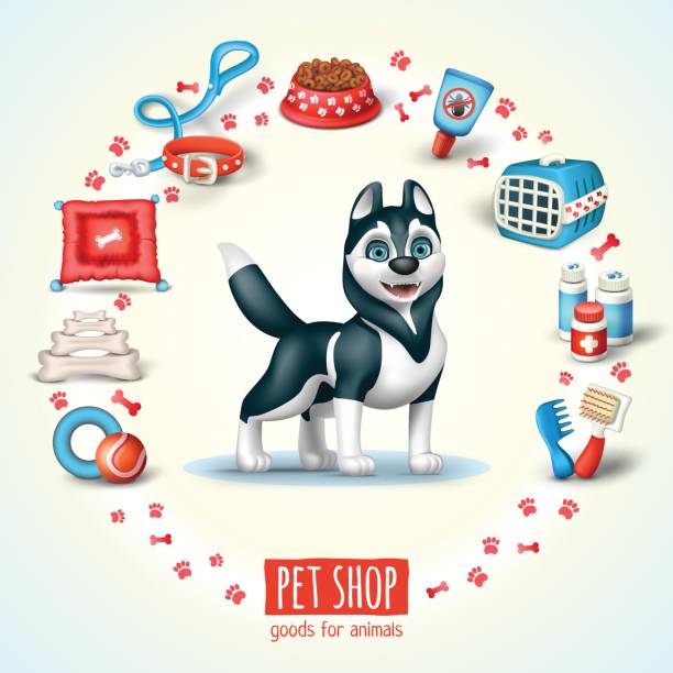 Illustration for pet shop with dog siberian husky breed and dog's related icons Dog, Pet equipment, Happy, Infographic pet toy stock illustrations