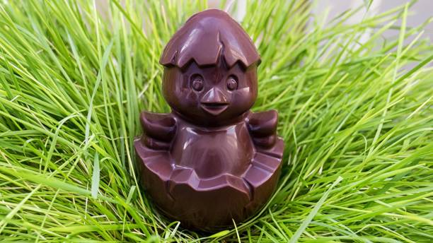 chocolate chicken sitting on a nest of grass stock photo