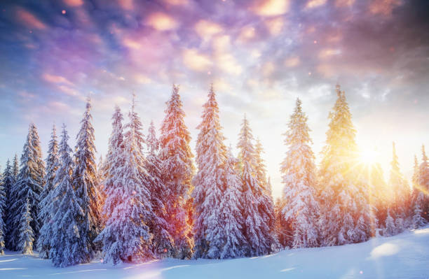 istock Mysterious winter landscape majestic mountains 645462068