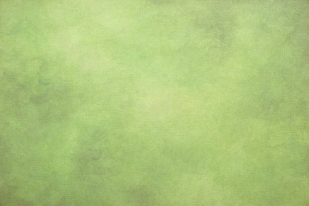 istock Old watercolor paper background 645462908