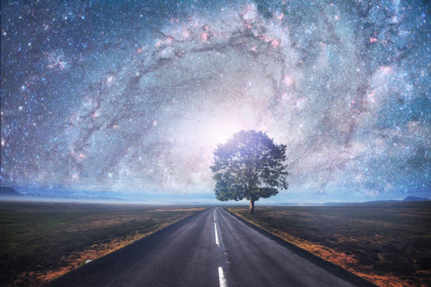 istock Asphalt road and lonely tree under a starry night sky 645462914