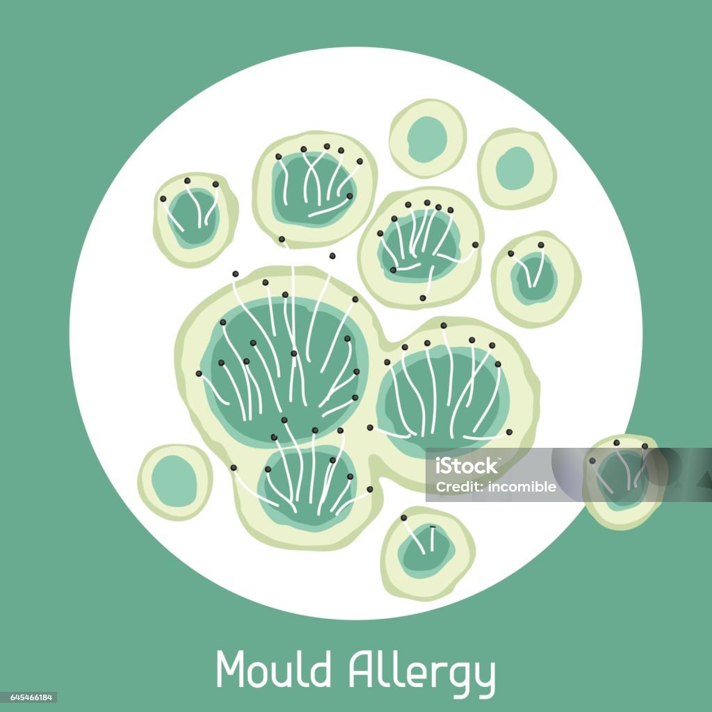 Mould allergy. Vector illustration for medical websites advertising medications Mould allergy. Vector illustration for medical websites advertising medications. Allergy stock vector