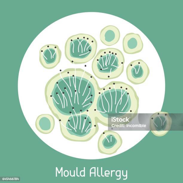 Mould Allergy Vector Illustration For Medical Websites Advertising Medications Stock Illustration - Download Image Now