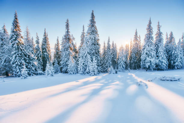 paisaje de invierno fantástico. mágico atardecer en las montañas a fros - winter fotografías e imágenes de stock
