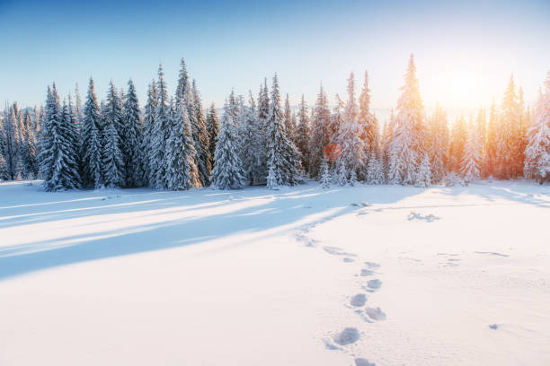 istock Fantastic winter landscape, steps, something leading into the mo 645466280