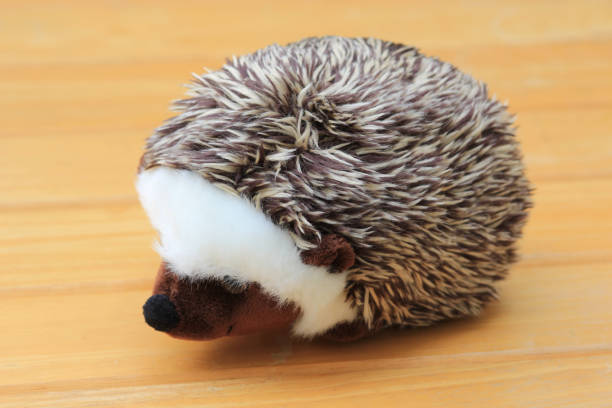 Doll hedgehog on a wooden background