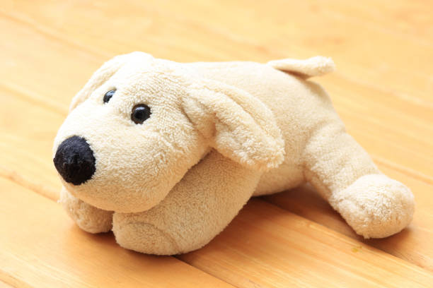 istock Doll Dog brown on a wooden background 645475012